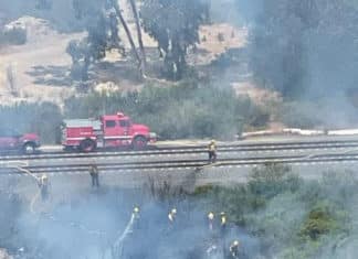 Brush Fire Oceanside Blvd