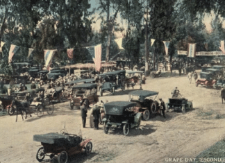 Throwback Thursday – Grape Day Festival