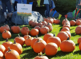 Escondido High Hosts Pumpkinfest -October 15