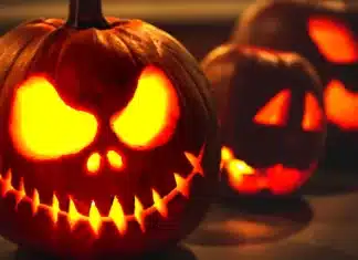 What do You Really Know About Halloween?