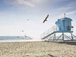 Carlsbad’s City Manager’s Update: Jan. 19, 2023