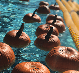 Dunkin’ for Pumpkins at Wave Waterpark this Saturday