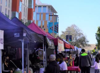 San Marcos Holiday Market Save the Date