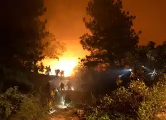 Why California Wildfires Burned Far Less This Year