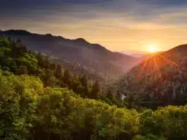 Veterans, Gold Star Families get Free Lifetime Pass to National Parks, Wildlife Refuges, other Public Lands