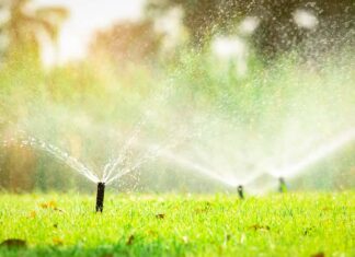 Vallecitos Customers Must Reduce Irrigation to Two Times per Week