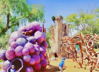 City of Escondido wants to Hear From You