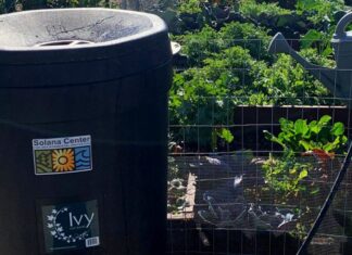 Water Districts Offer Discounted Rain Barrels