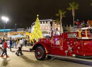 HOLIDAY TREE LIGHTING CEREMONY & GIFT MARKET