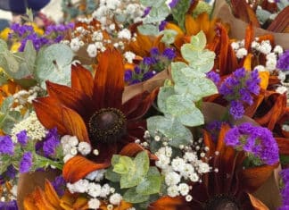 Safer Streets | Small Business Saturday | Farmers Market Today 2:30pm