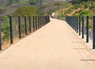 5 Great Trails for a Holiday Hike in Carlsbad