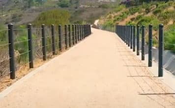 5 Great Trails for a Holiday Hike in Carlsbad