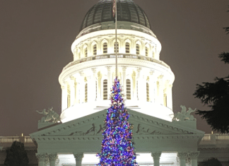 A Beautiful Capitol Christmas Tradition