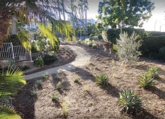 Lake San Marcos HOA Landscape Makeovers Benefit From County Restoration Program