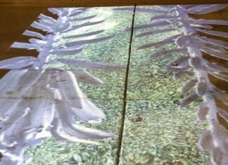 Being in the Moment with Pop Up Art in Carlsbad Village