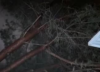 Escondido Firefighters Update