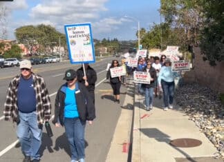 Human Trafficking Walk Brings Awareness to Sex Trafficking