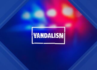 Escondido Police arrest Felony Vandalism Suspect