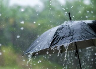 Both Oceanside Markets Canceled for January 5th