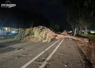 Escondido Public Works Rain Event