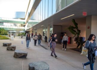 Spring Semester Begins at Palomar College