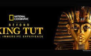 Travels With TR-“Beyond King Tut Immersive Experience” is Visually Stunning