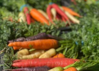 Come See What We Are All About