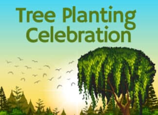 Oceanside Public Works Department Tree Planting Celebration Saturday