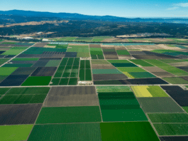 California Agriculture