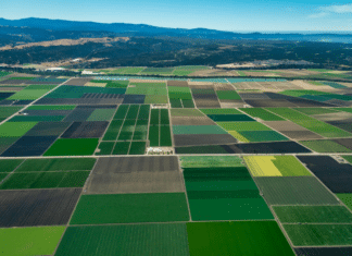 California Agriculture