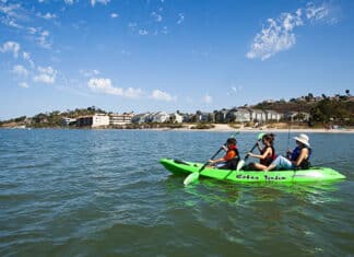 Carlsbad City Council Awarded $373,687 to Coastal Restoration