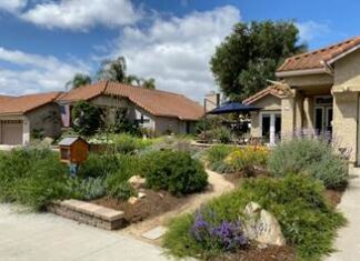 World Water Day -March 22