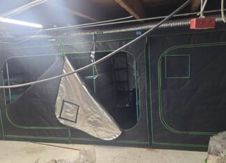 Escondido Police Update Narcotics Find