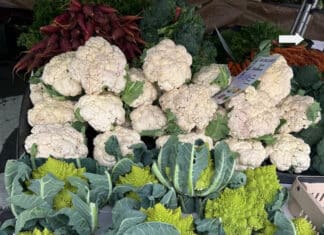 Freshness Is All Around Us At The Market