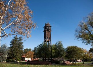 Three Palomar College Student Films Nominated for Regional Emmy Awards