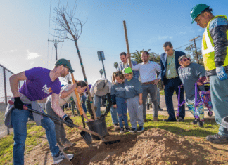 Urban Corps of S.D County & Rocks Spring Elementary Planted Green in Escondido on St. Patrick’s Day
