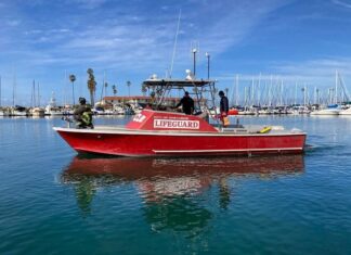 Harbor Public Safety Re-Organization