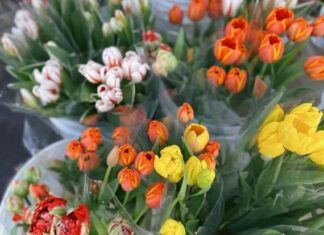 Easter Made Easy at the Farmers Market