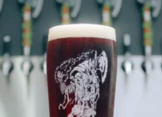 Seven North County Breweries Win Medals at 2023 World Beer Cup