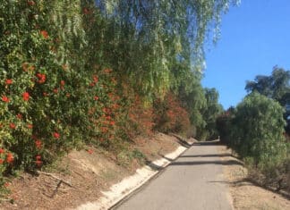 National Trails Day at Rancho Carrillo Trails