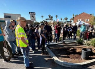 Escondido Public Works and Volunteers Planted Trees in Downtown