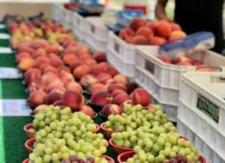 Every Tuesday San Marcos Farmers Market