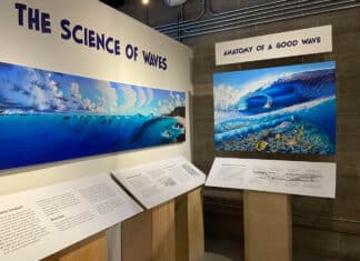 The Science Behind Surfing Debuts May 15th at the California Surf Museum