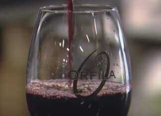 San Diego County’s Wine Industry Thrives with Record-Breaking Sales, 166 Wineries