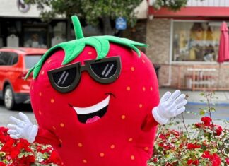 Strawberry Festival on FOX 5