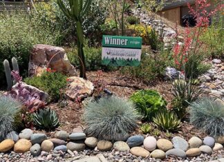 Nifty Fifty Plant Choices Featured in Winning Escondido Landscape