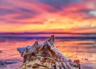 Join Us for the 25th Anniversary of Art in the Village