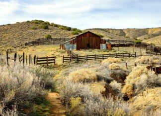 Help for Rural California