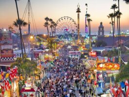 San Diego County Fair Admission and Transportation for One Low Cost