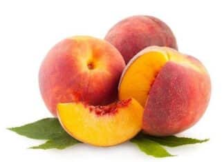 State Street Farmers Market Every Wednesday